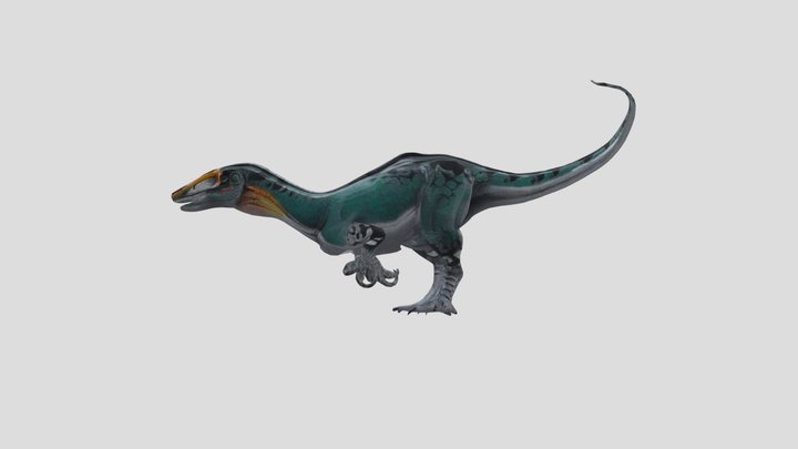 Megaraptor 3D Model