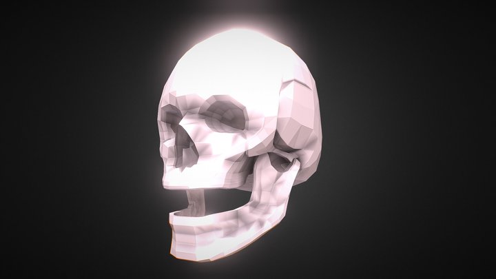 Simple Skull 3D Model