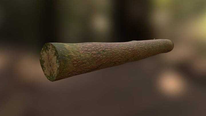 Log_Attempt_1 3D Model