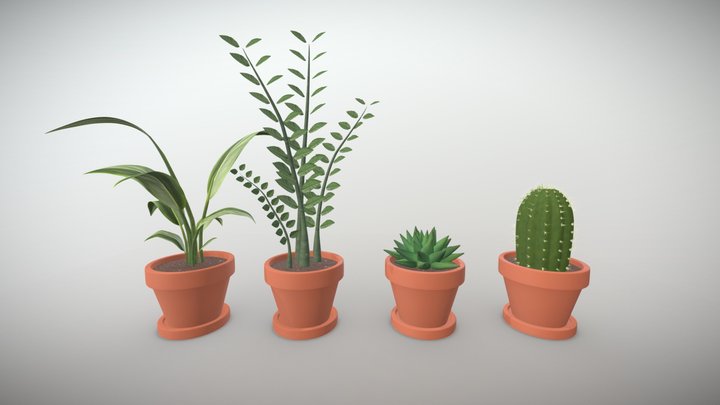 Plants