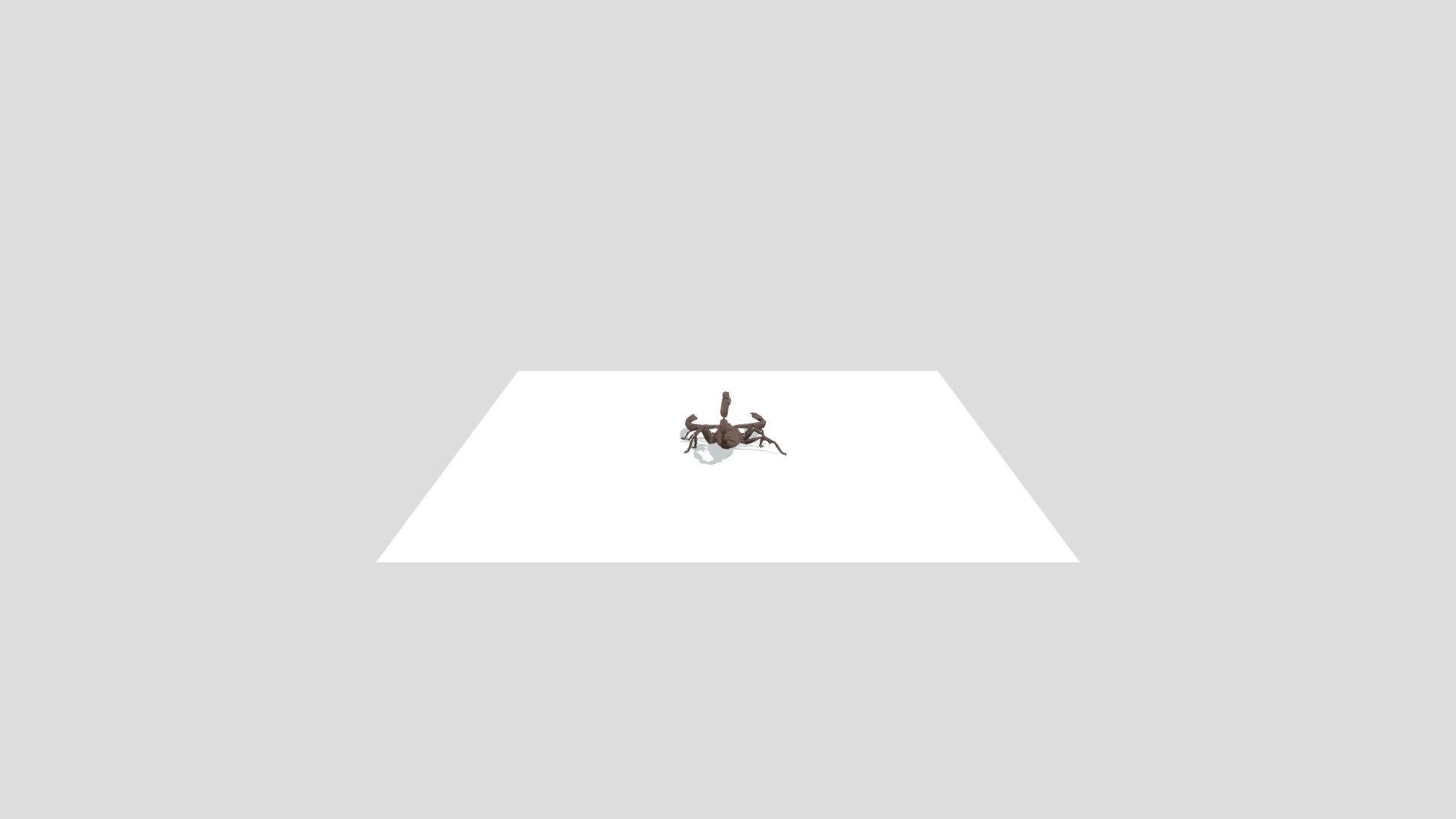scorpion motion