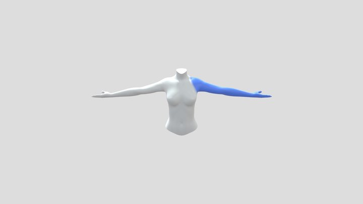 Female Right shoulder blade and bicep Palms Up 3D Model