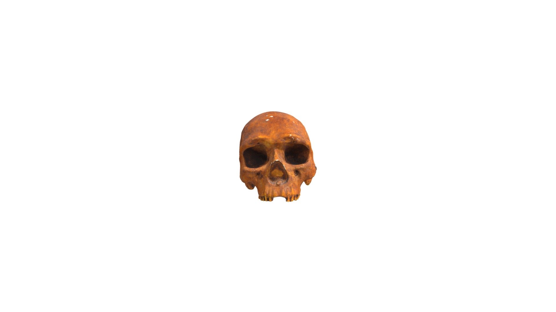 Specimen A6