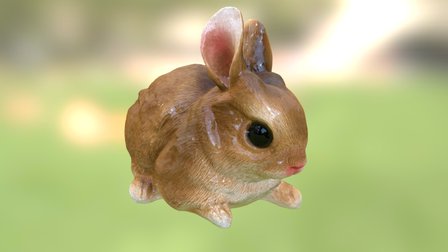 Rabbit Scan 3D Model