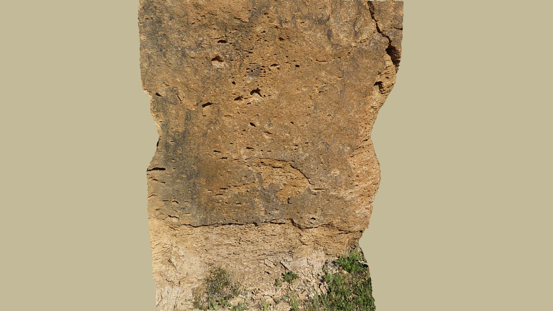 Flattened pumices in ignimbrite, Spain