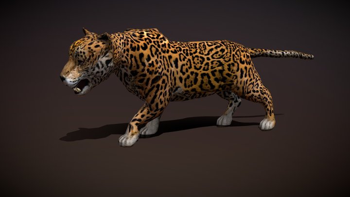 Safari animals - Jaguar 3D Model
