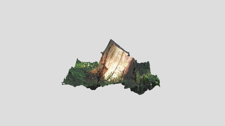 Tree stump – Modello 3D gratuito STL