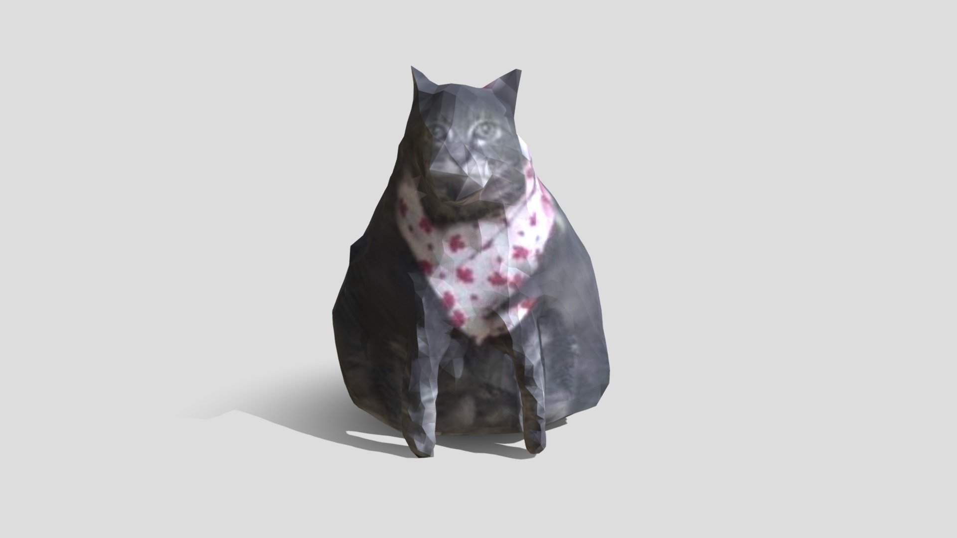 Cat Is Cat