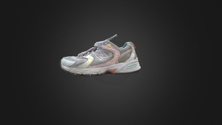 chen's shoe 3D Model