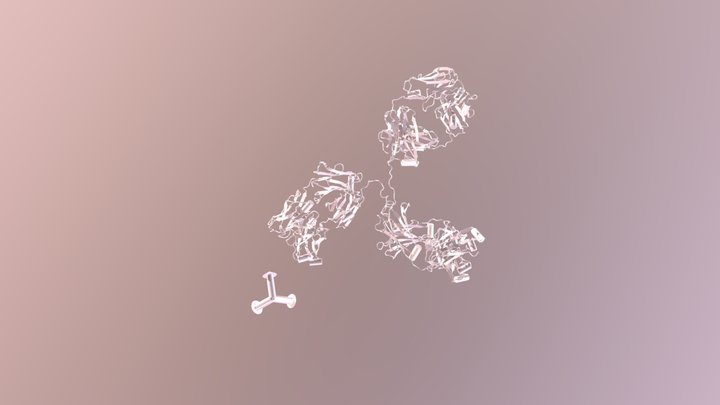 Immunoglobulin 1igt PDB 3D Model