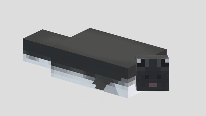 Foca 3D models - Sketchfab