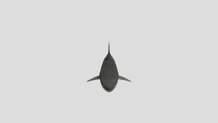 Shark – Modèle 3D gratuit STL