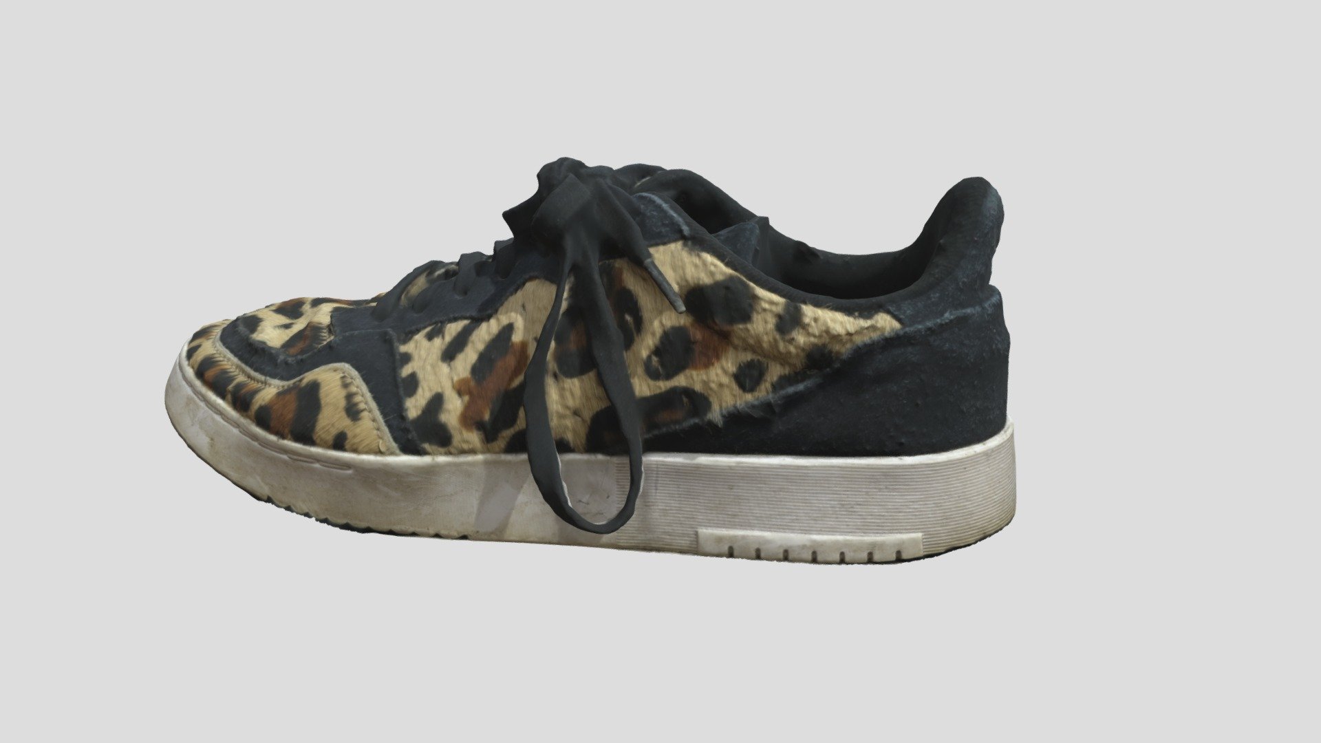 Leopard Shoe Edit