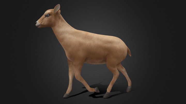 Goat_A1 3D Model