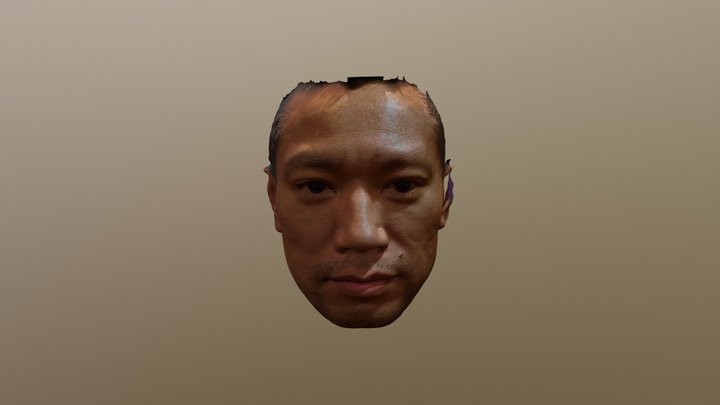 d 3D Model