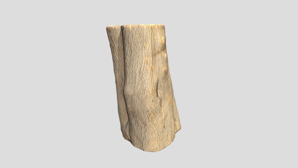 Log Scan