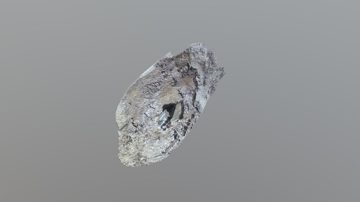 conulite 3D Model
