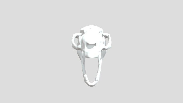 Gurlin Tsaav Skull 3D Model