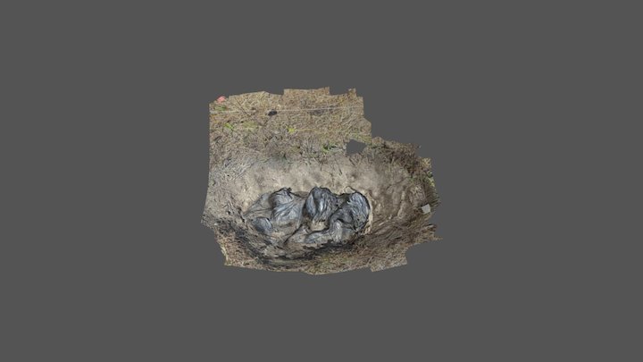 Team 4 - Excavated Grave with Burial 3D Model