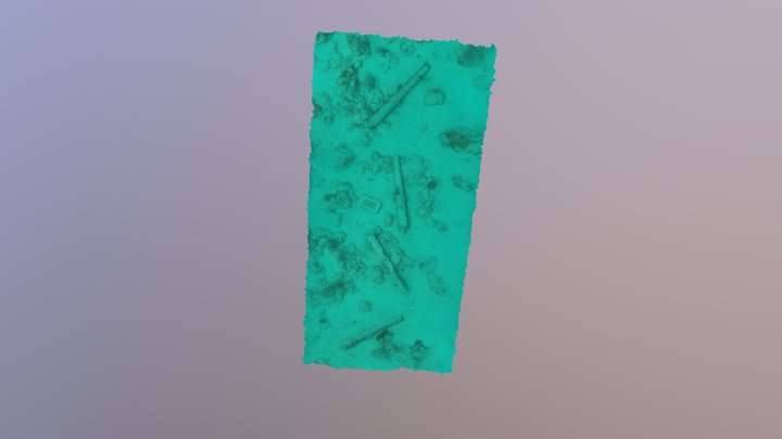 GUAP Cannons 3D Model