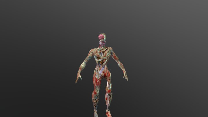 Decayed Character2 3D Model