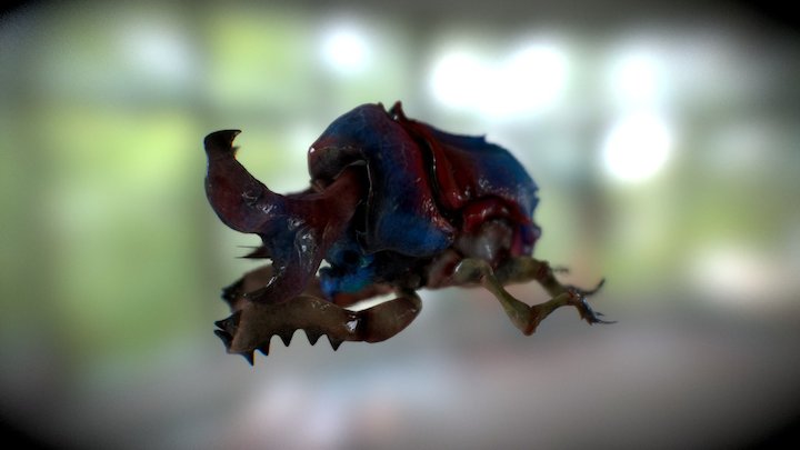 Mole Beetle 3D Model