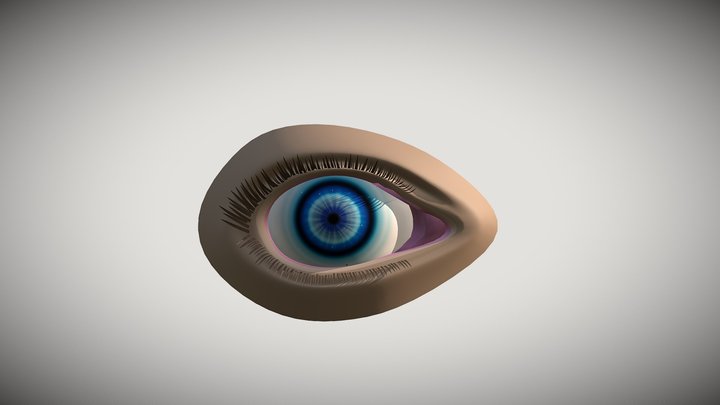 Modelo ojo_UCA 3D Model