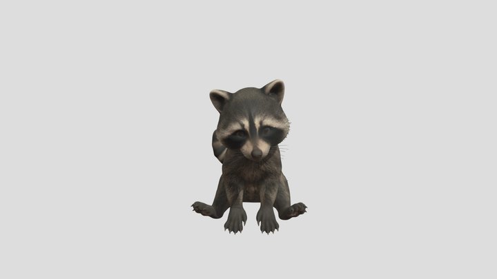 Raccoon 3D models - Sketchfab