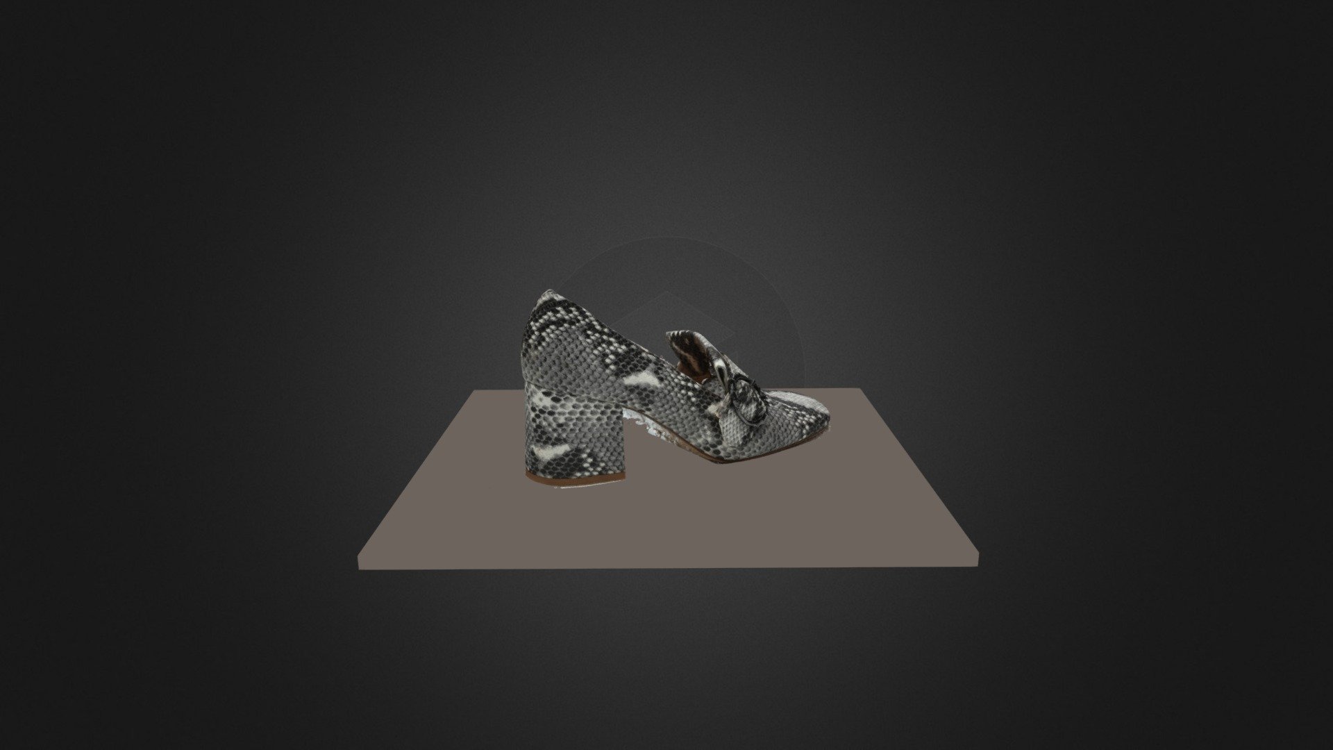 Agisoft Metashape Crocodile Shoe