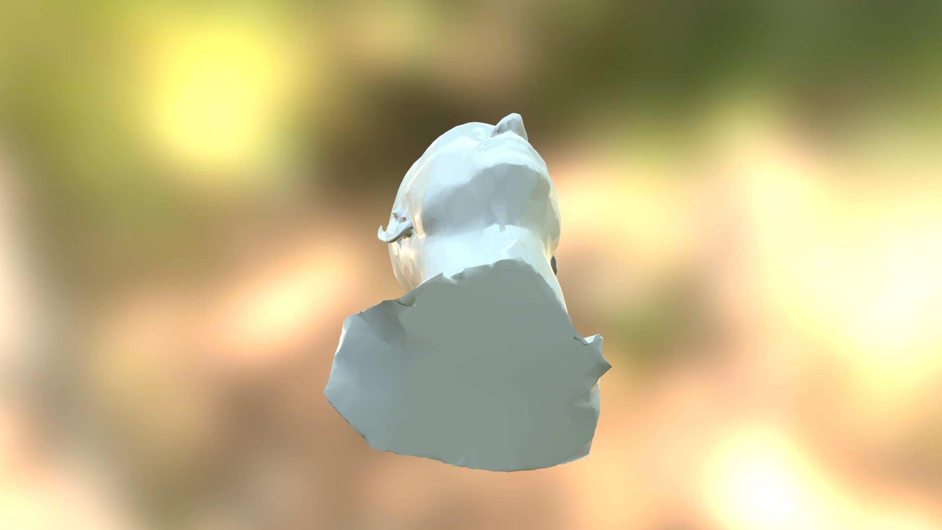 head