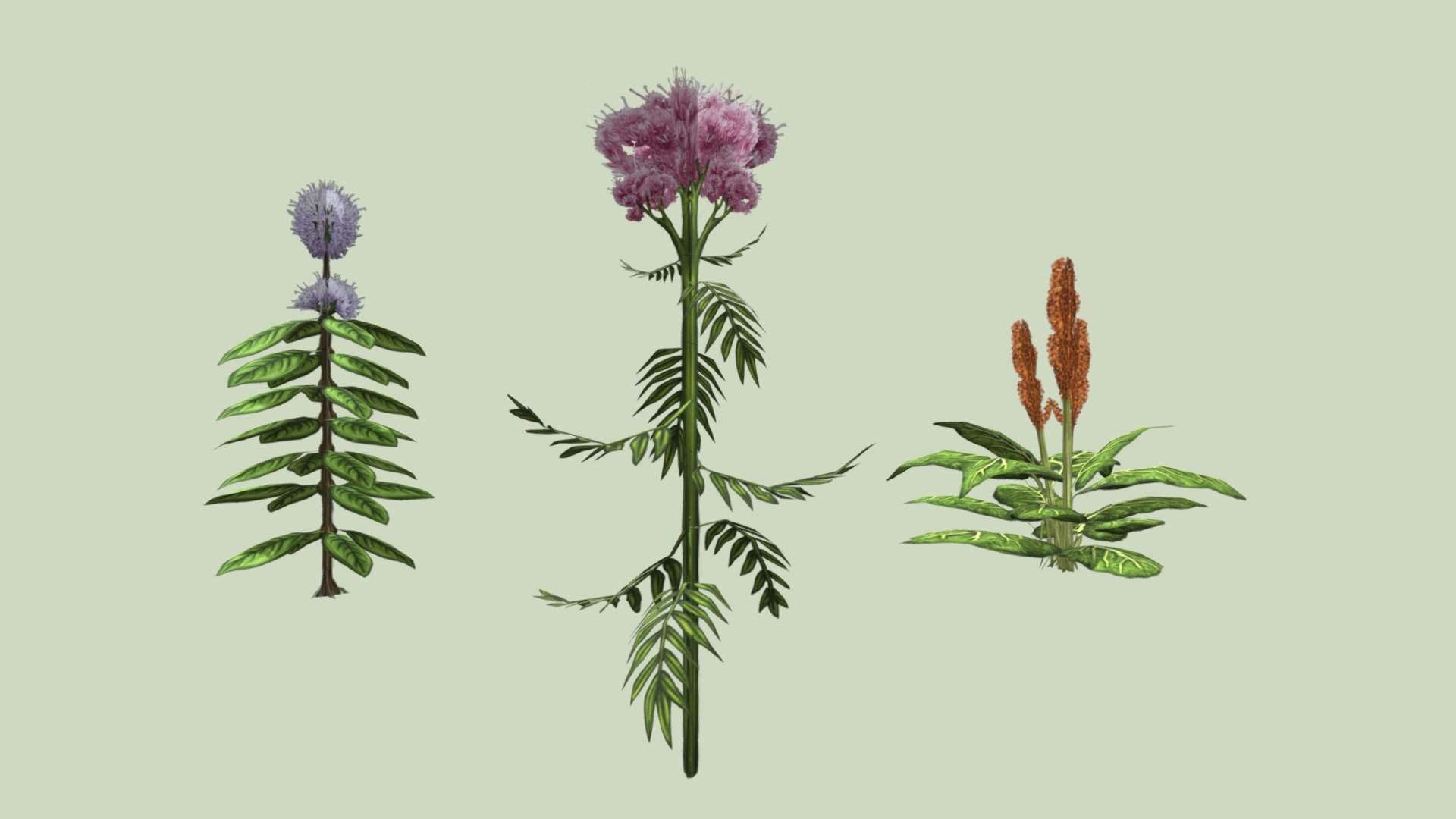 Dock, brookmint, valerian three medicinal plants