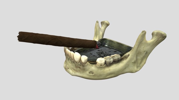 Jaw Bone Ashtray with Cigar – Kostenloses 3D-Modell STL