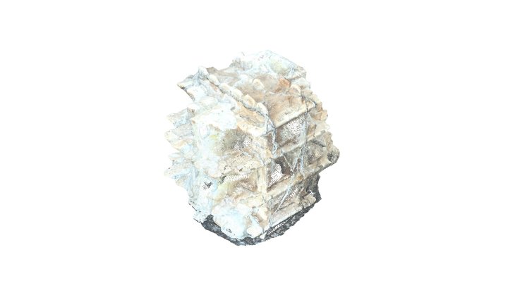 Cast model （point cloud) 3D Model