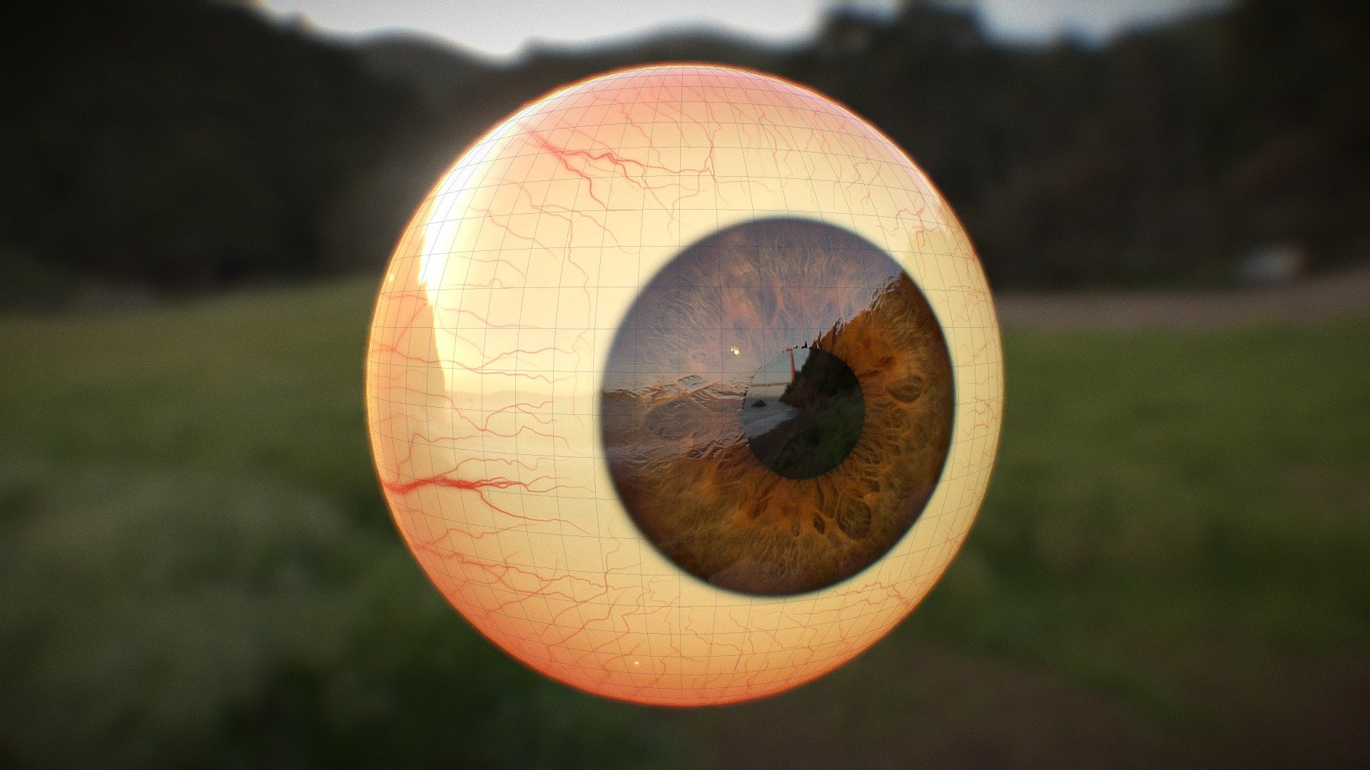 Eye