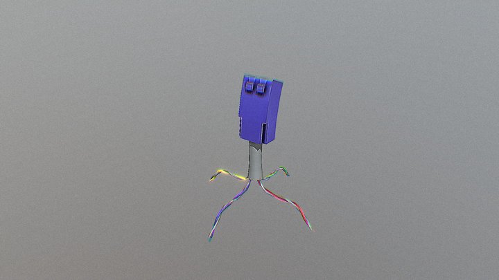 computer-virus 3D Model