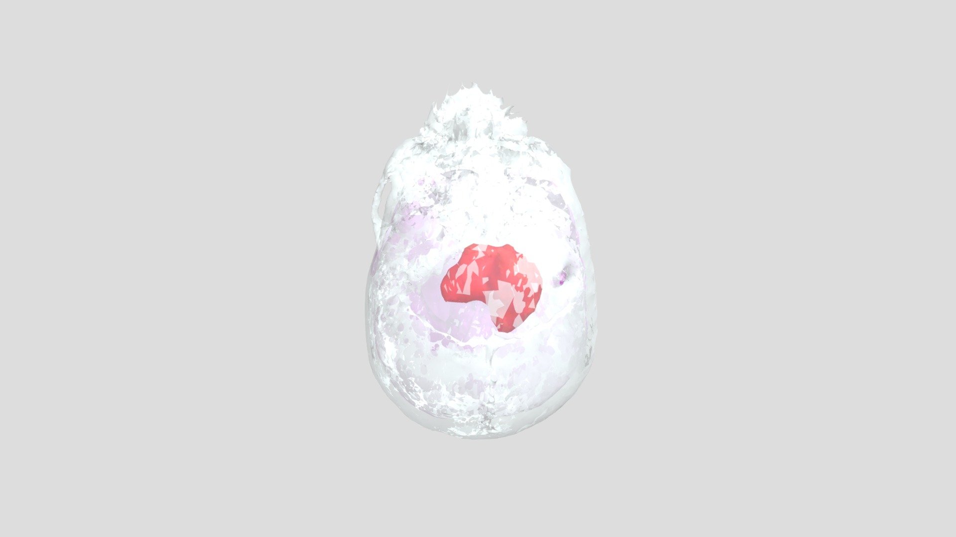 Segmentation