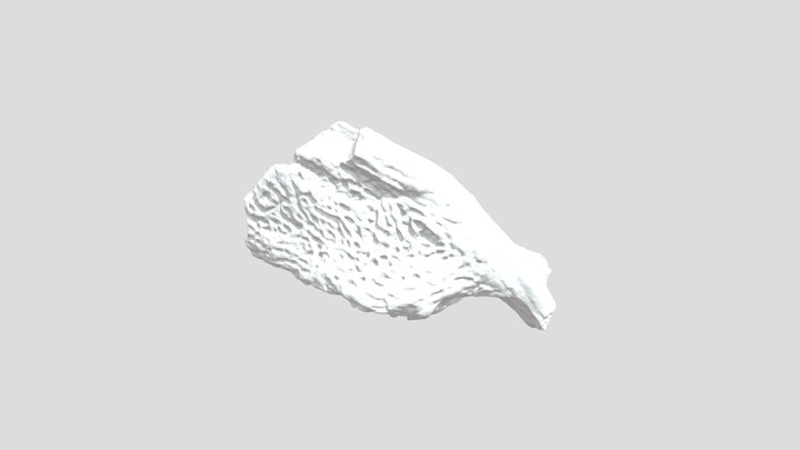 Alligatoridae Portugal Jaw crocodile 3D Model