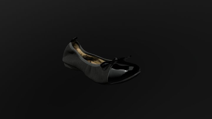 Shoe Sample 3D Model