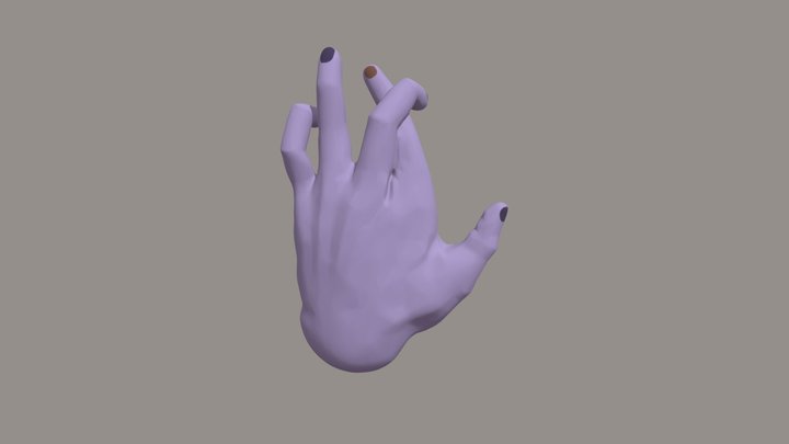 manina viola 3D Model