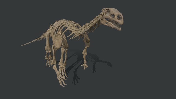 Plateosaurus 3D Model