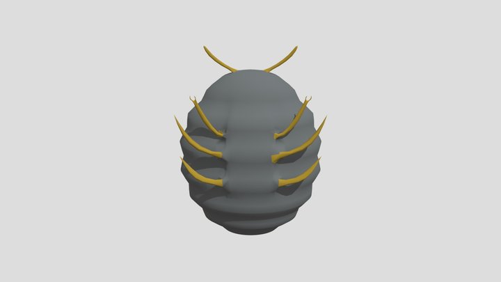 Cochineal 3D Model