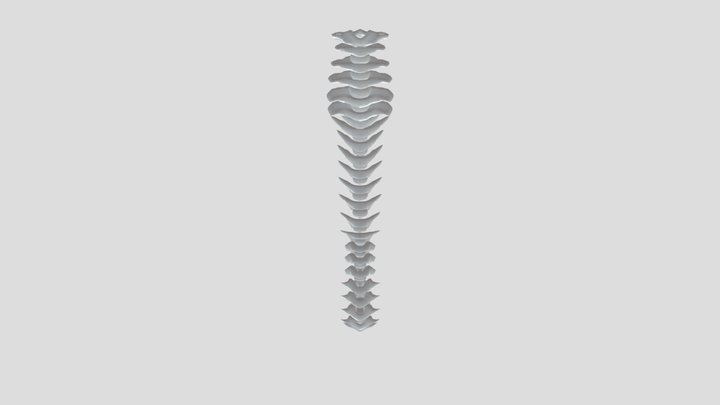 TULANG EKOR 3D Model