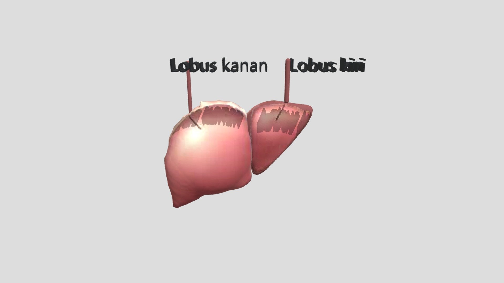 Coba 4