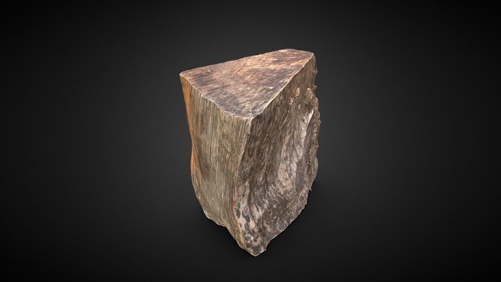 Wood Log 3D scan – Modèle 3D gratuit STL