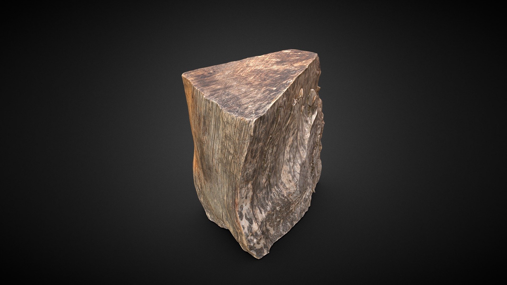 Wood Log 3D scan
