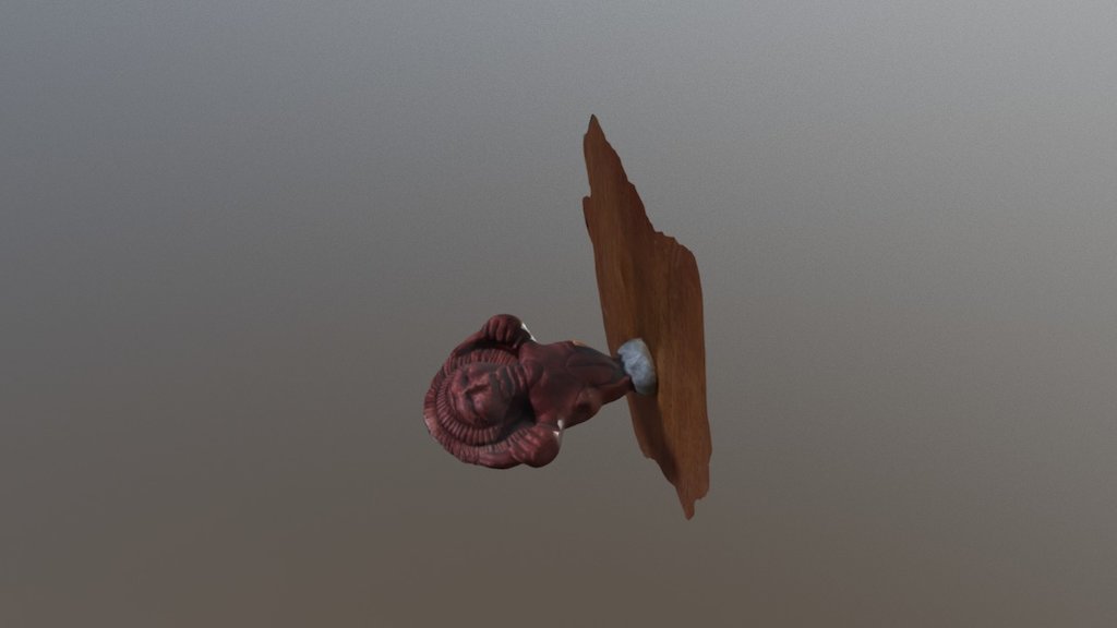 A TRNIO Model