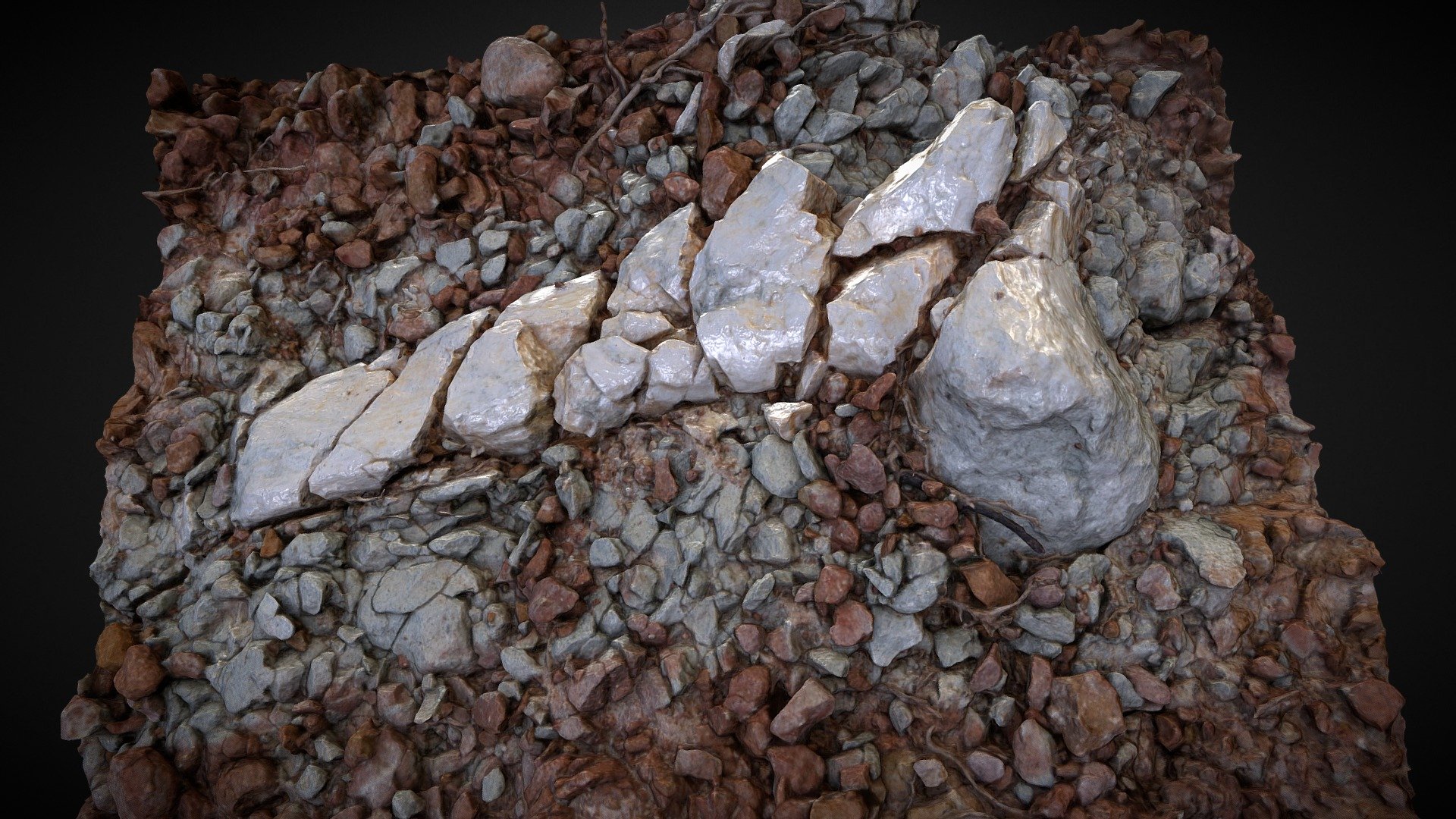 Dinosaur fossil bone PBR