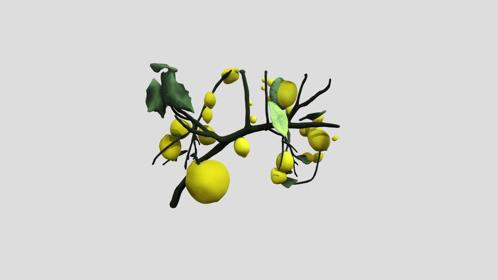 Lemon_1