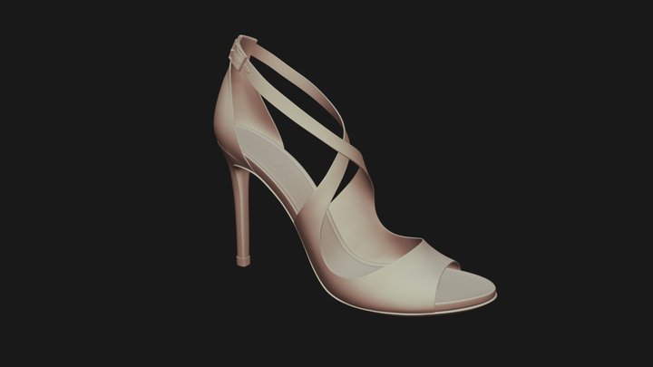 Shoe_DCM 3D Model