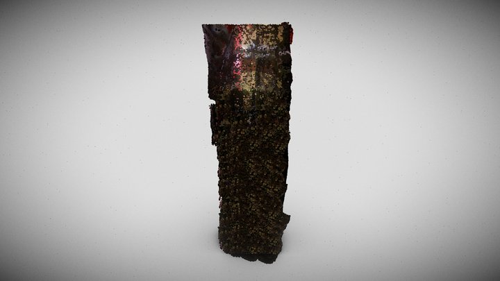 P31__E1 - Cloud 3D Model